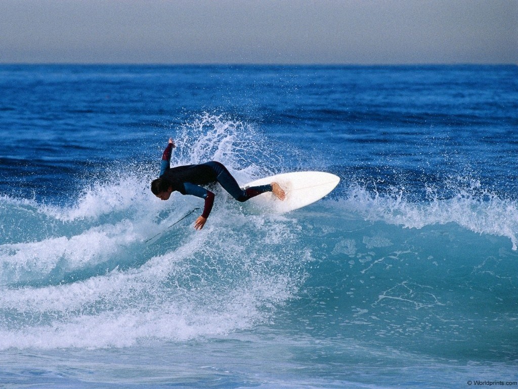Fond d'écran gratuit de Surf numéro 3523