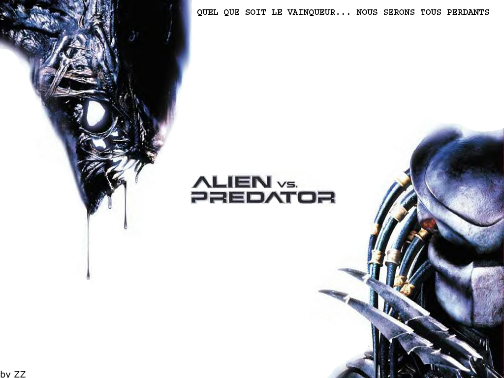 Fond d'écran gratuit de Alien vs Predator numéro 5857