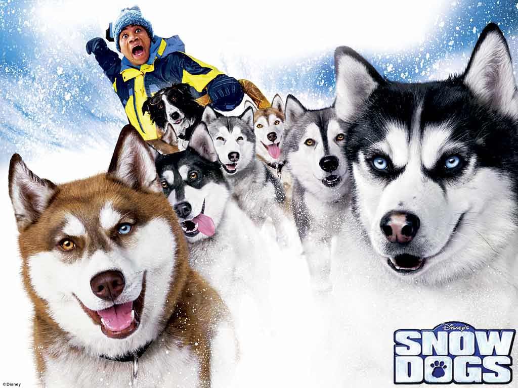 Fond d'écran gratuit de Snow Dogs numéro 6910