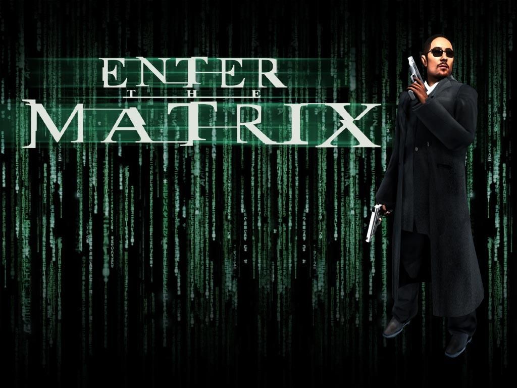 Fond d'écran gratuit de Enter The Matrix numéro 47805