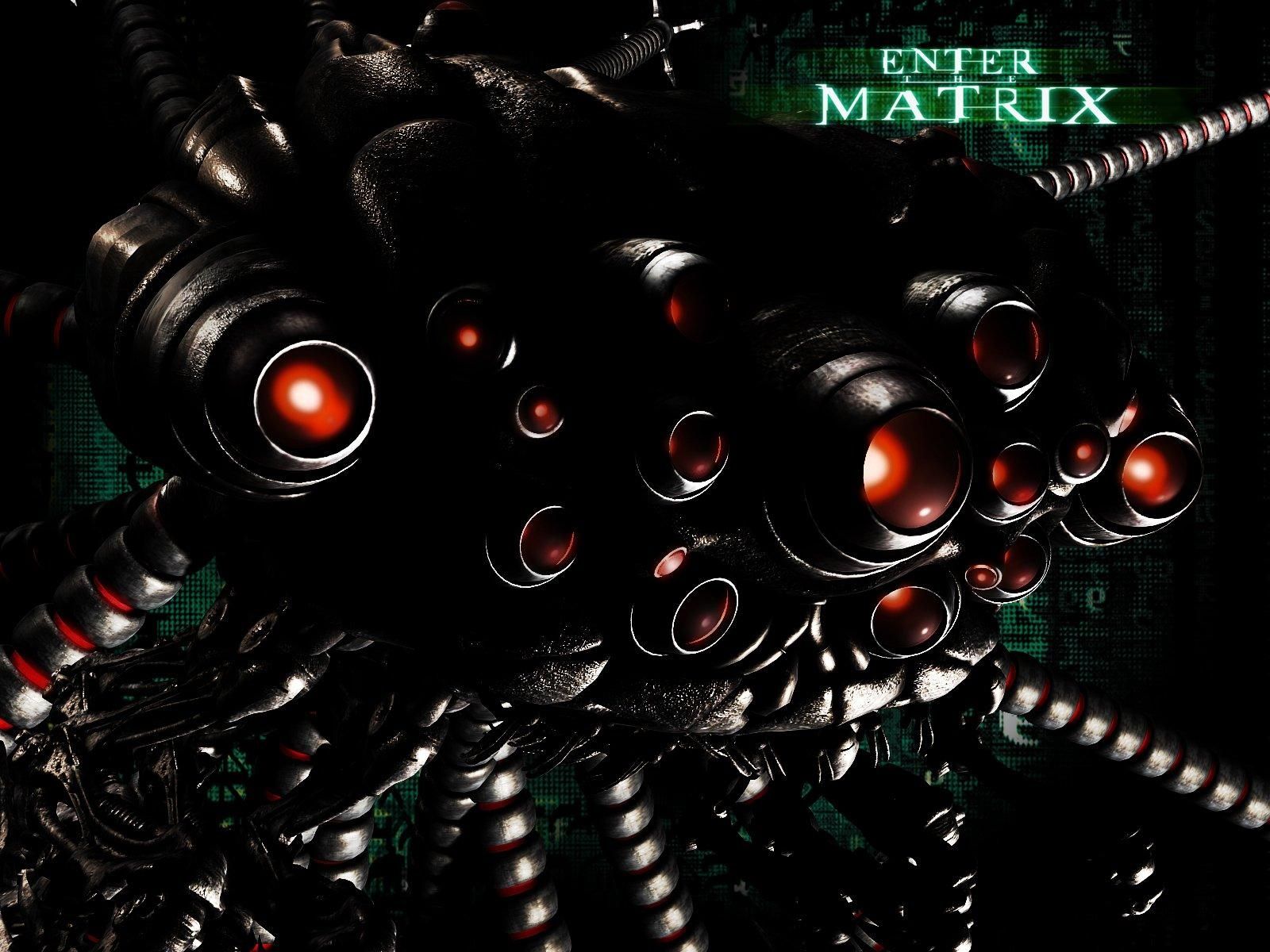 Fond d'écran gratuit de Enter The Matrix numéro 43895