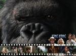 Fond d'écran gratuit de King Kong numéro 679