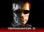 Fond d'écran gratuit de Terminator 3 numéro 6978