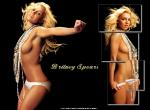 Fond d'écran gratuit de Britney Spears numéro 11081