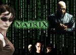 Fond d'écran gratuit de Matrix numéro 6685