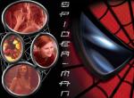 Fond d'écran gratuit de Spiderman numéro 1141