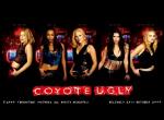 Fond d'cran gratuit de Coyote girls numro 6030