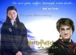 Fond d'écran gratuit de Harry Potter numéro 500