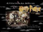 Fond d'écran gratuit de Harry Potter numéro 568