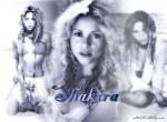 Fond d'écran gratuit de Shakira numéro 9174