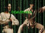 Fond d'écran gratuit de Matrix numéro 6687