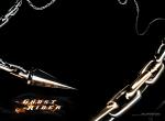 Fond d'écran gratuit de Ghost Rider numéro 4188