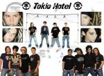 Fond d'écran gratuit de Tokio Hotel numéro 13331