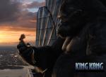 Fond d'écran gratuit de King Kong numéro 3242