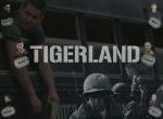 Fond d'écran gratuit de Tigerland numéro 7049
