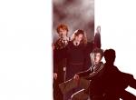 Fond d'écran gratuit de Harry Potter numéro 516