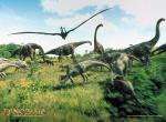 Fond d'écran gratuit de Dinosaure numéro 11553