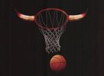 Fond d'cran gratuit de Sports - Basketball numro 4561