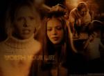 Fond d'écran gratuit de Buffy Contre Les Vampires numéro 11463