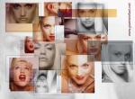 Fond d'écran gratuit de Gwen Stefani numéro 7504