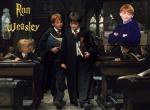 Fond d'écran gratuit de Harry Potter numéro 563