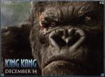 Fond d'écran gratuit de King Kong numéro 3237