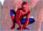 Fond d'écran gratuit de Spiderman numéro 1113