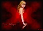 Fond d'écran gratuit de Buffy Contre Les Vampires numéro 11496