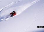 Fond d'écran gratuit de Sports - Ski numéro 4585
