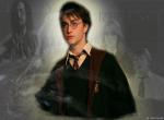 Fond d'écran gratuit de Harry Potter numéro 531