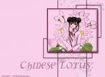 Fond d'cran gratuit de Chinese Lotus numro 2645