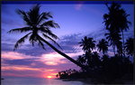 Fond d'écran gratuit de Plages & Bords de Mer - Plages Tropicales numéro 60601