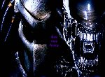 Fond d'écran gratuit de Alien vs Predator numéro 47016