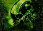 Fond d'écran gratuit de Alien vs Predator numéro 46652