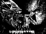 Fond d'écran gratuit de Alien vs Predator numéro 48123
