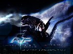 Fond d'écran gratuit de Alien vs Predator numéro 49153