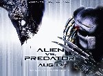 Fond d'écran gratuit de Alien vs Predator numéro 36144