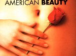 Fond d'écran gratuit de American Beauty numéro 38932