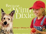Fond d'écran gratuit de Because Of Winn Dixie numéro 44336