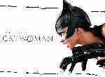 Fond d'écran gratuit de Catwoman numéro 43546