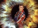 Fond d'écran gratuit de David Bowie numéro 36154