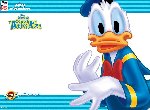 Fond d'écran gratuit de Donald Duck Couak Attack numéro 54321