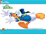 Fond d'écran gratuit de Donald Duck Couak Attack numéro 41765