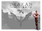 Fond d'écran gratuit de Drakan Order Of The Flame numéro 47424