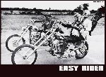 Fond d'écran gratuit de Easy Rider numéro 55636
