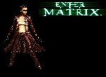 Fond d'écran gratuit de Enter The Matrix numéro 52133