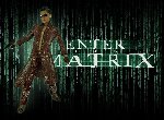 Fond d'écran gratuit de Enter The Matrix numéro 47073