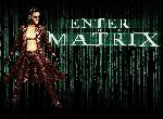Fond d'écran gratuit de Enter The Matrix numéro 40710