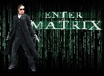 Fond d'écran gratuit de Enter The Matrix numéro 48347