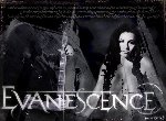 Fond d'écran gratuit de Evanescence numéro 43413